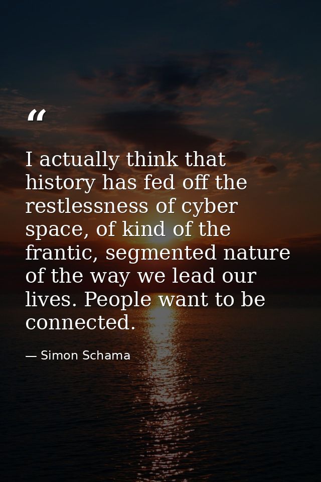 I actually think that history has fed off the restlessness of cyber space, of kind of the frantic, segmented nature of t — Simon Schama