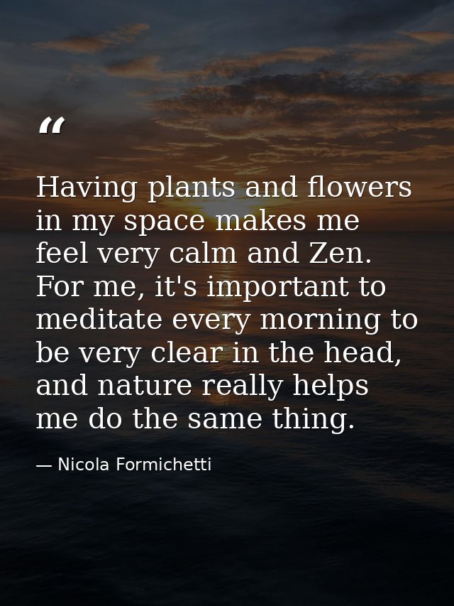 Having plants and flowers in my space makes me feel very calm and Zen. For me, it's important to meditate every morning  — Nicola Formichetti