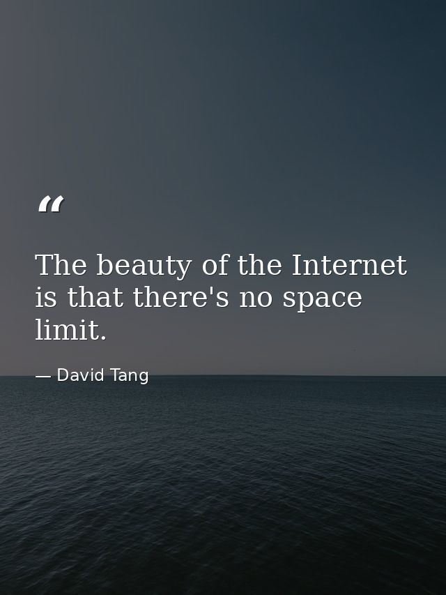 The beauty of the Internet is that there's no space limit. — David Tang