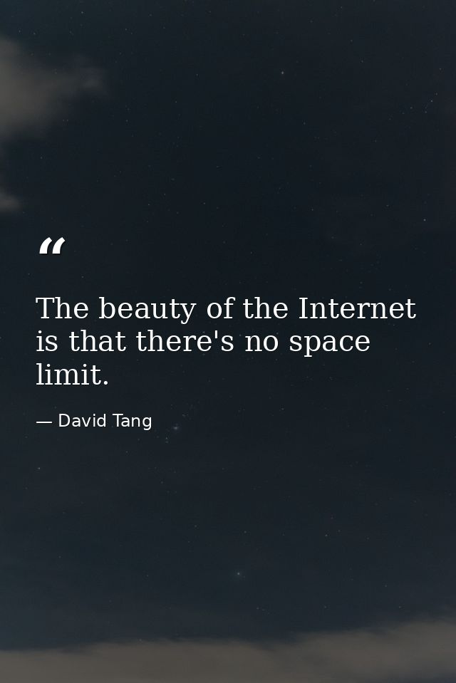 The beauty of the Internet is that there's no space limit. — David Tang