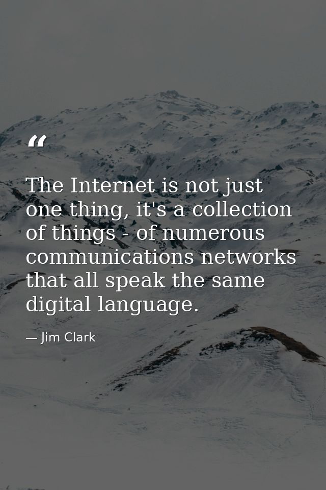 The Internet is not just one thing, it's a collection of things - of numerous communications networks that all speak the — Jim Clark