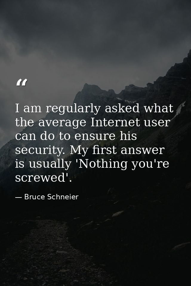 I am regularly asked what the average Internet user can do to ensure his security. My first answer is usually 'Nothing y — Bruce Schneier