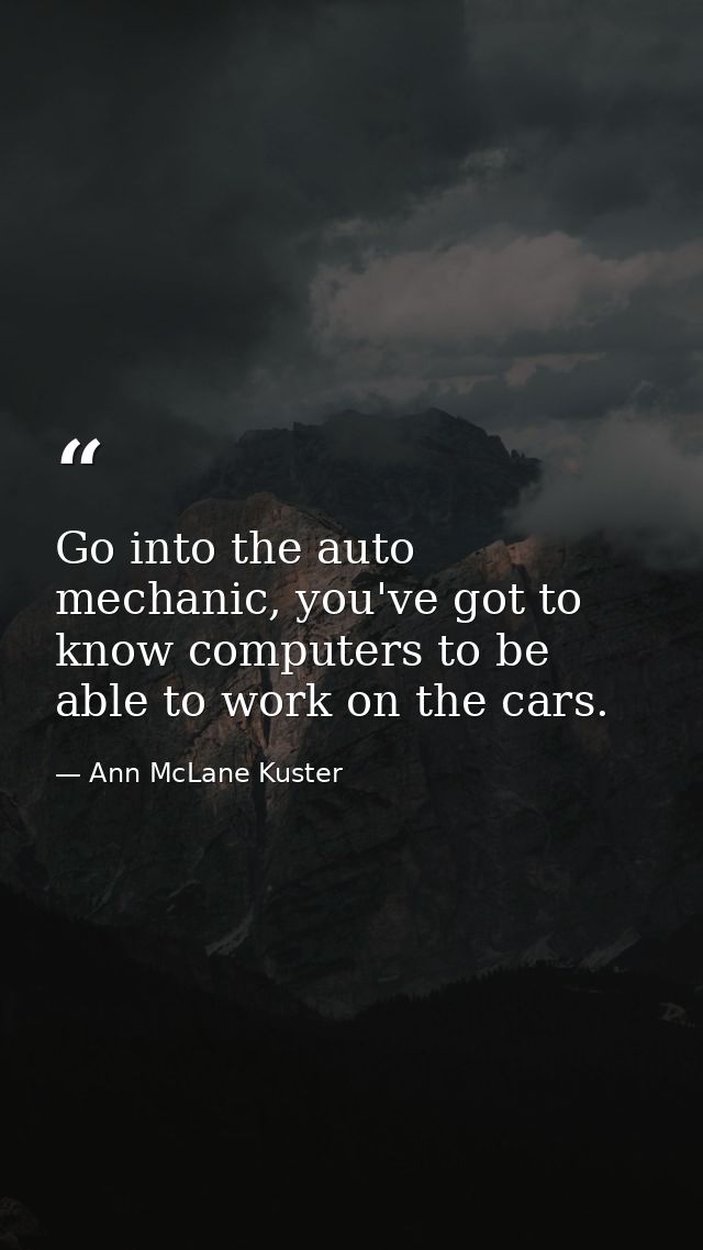 Go into the auto mechanic, you've got to know computers to be able to work on the cars. — Ann McLane Kuster