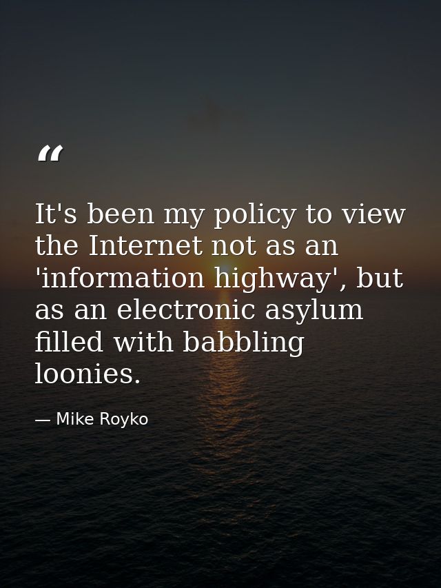 It's been my policy to view the Internet not as an 'information highway', but as an electronic asylum filled with babbli — Mike Royko