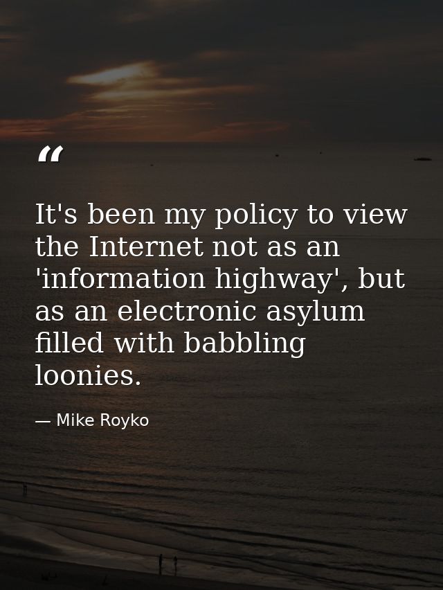 It's been my policy to view the Internet not as an 'information highway', but as an electronic asylum filled with babbli — Mike Royko