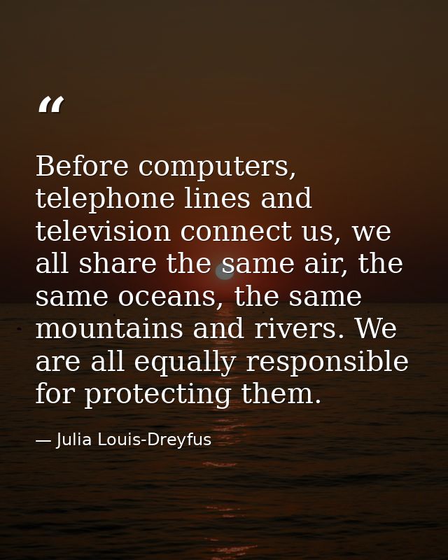 Before computers, telephone lines and television connect us, we all share the same air, the same oceans, the same mounta — Julia Louis-Dreyfus