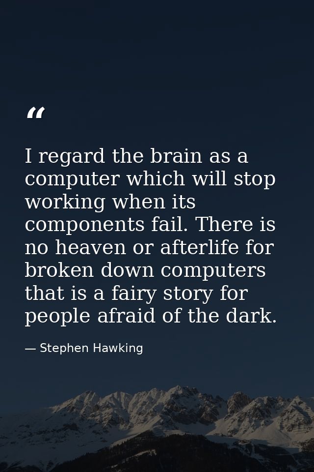 I regard the brain as a computer which will stop working when its components fail. There is no heaven or afterlife for b — Stephen Hawking