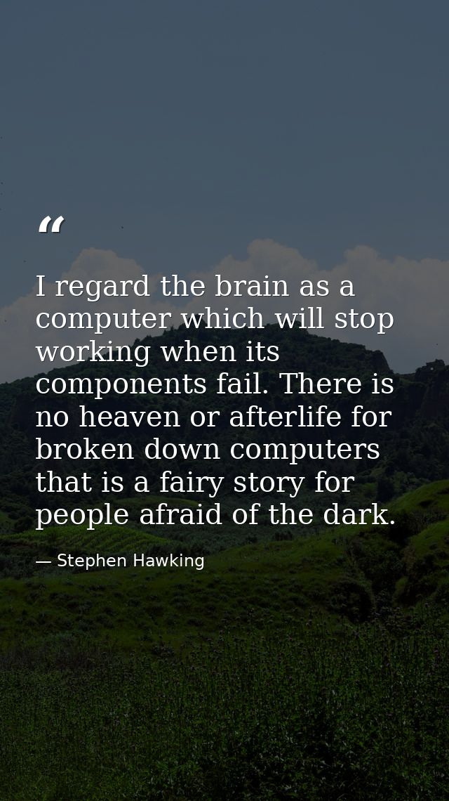 I regard the brain as a computer which will stop working when its components fail. There is no heaven or afterlife for b — Stephen Hawking