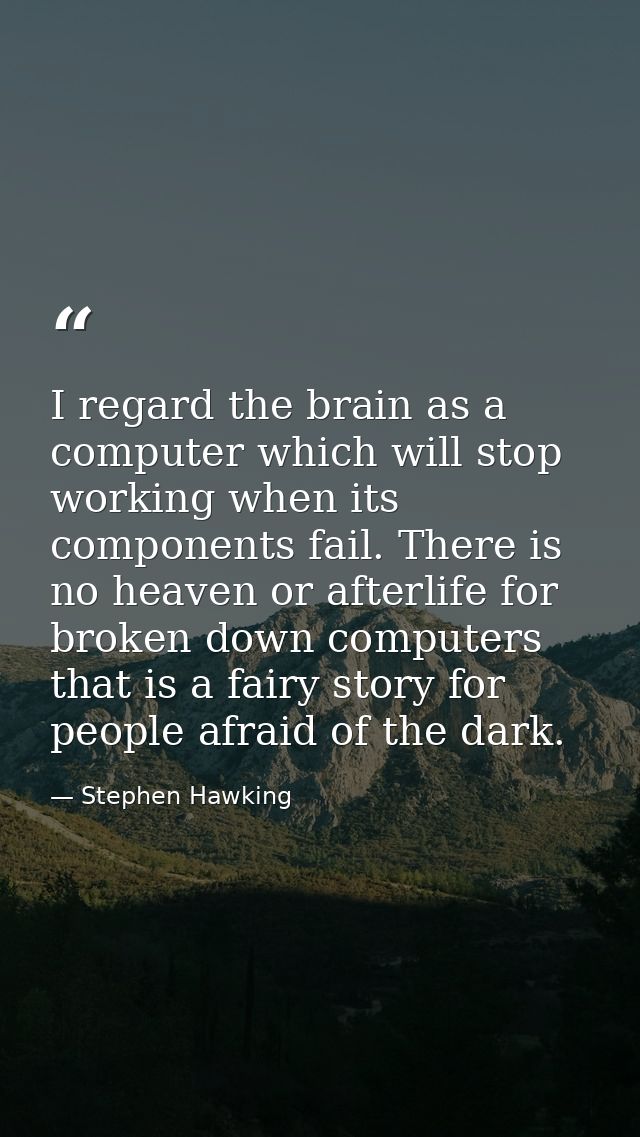 I regard the brain as a computer which will stop working when its components fail. There is no heaven or afterlife for b — Stephen Hawking