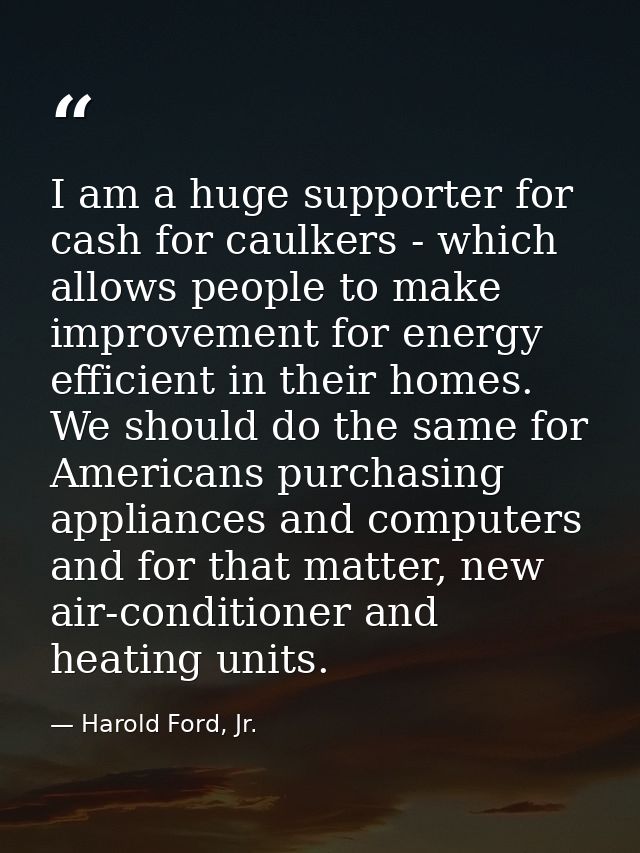 I am a huge supporter for cash for caulkers - which allows people to make improvement for energy efficient in their home — Harold Ford, Jr.