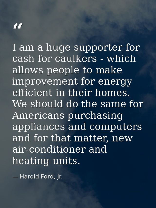 I am a huge supporter for cash for caulkers - which allows people to make improvement for energy efficient in their home — Harold Ford, Jr.