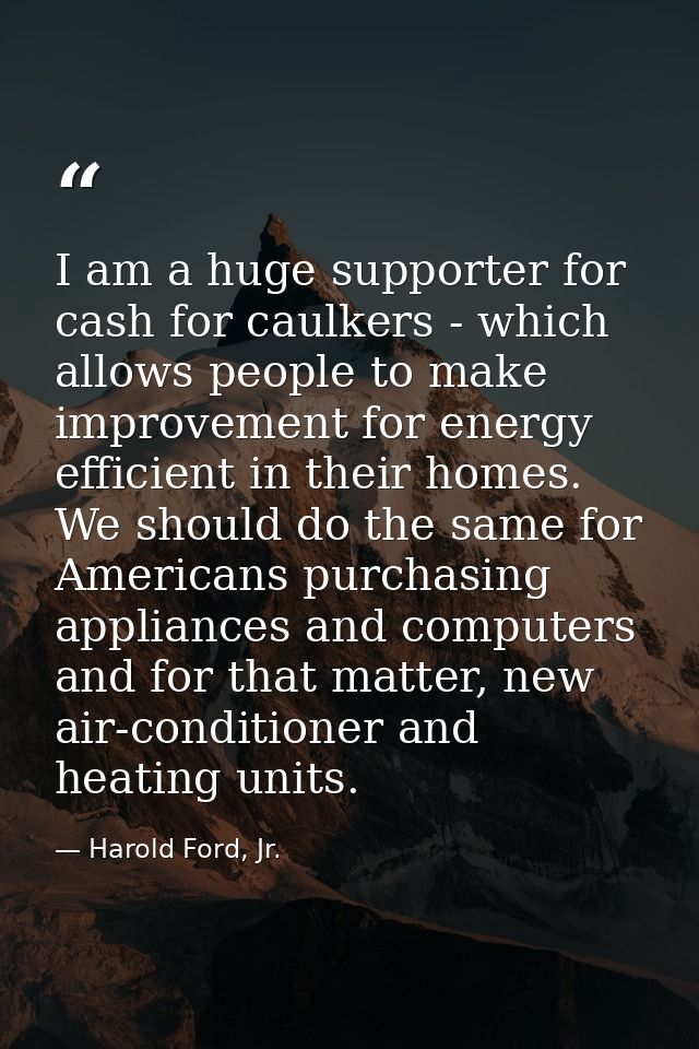 I am a huge supporter for cash for caulkers - which allows people to make improvement for energy efficient in their home — Harold Ford, Jr.