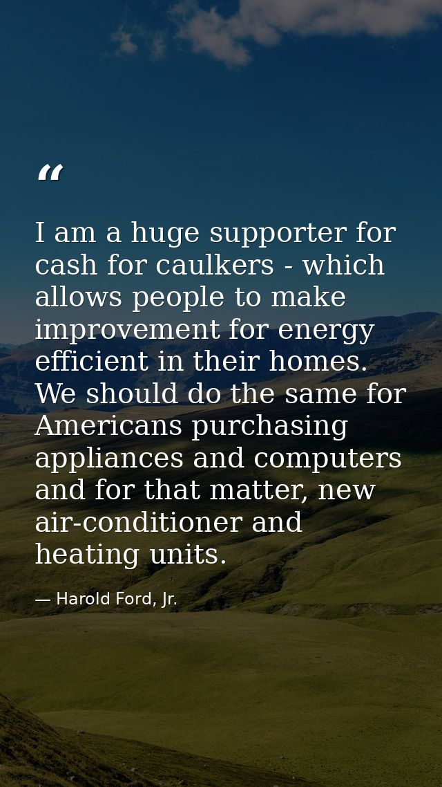 I am a huge supporter for cash for caulkers - which allows people to make improvement for energy efficient in their home — Harold Ford, Jr.