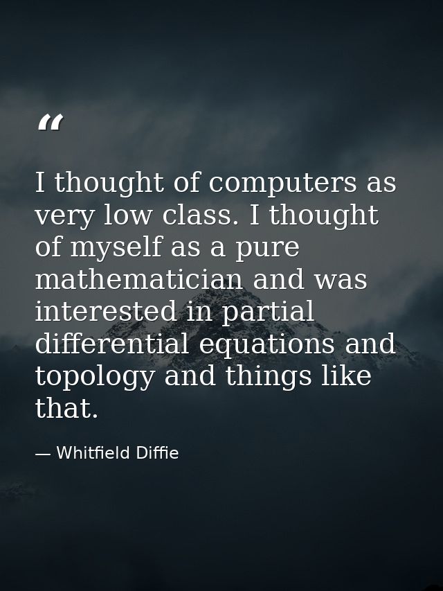 I thought of computers as very low class. I thought of myself as a pure mathematician and was interested in partial diff — Whitfield Diffie