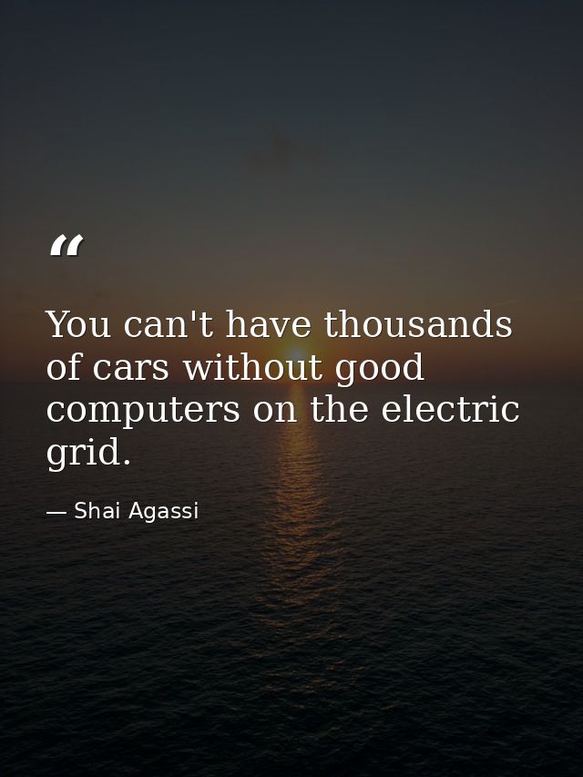 You can't have thousands of cars without good computers on the electric grid. — Shai Agassi