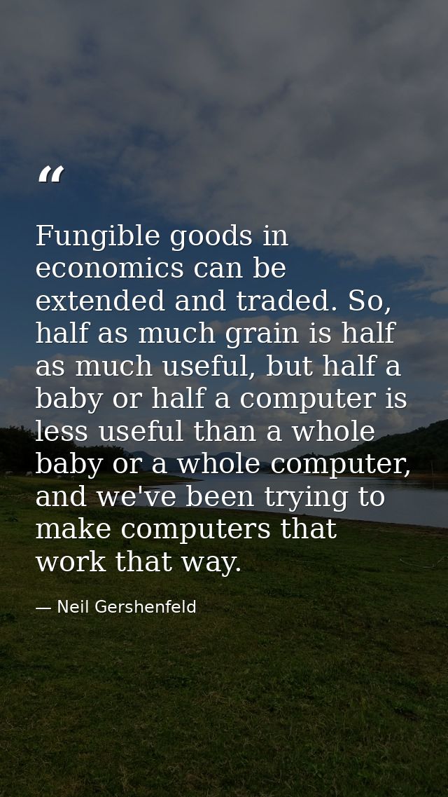 Fungible goods in economics can be extended and traded. So, half as much grain is half as much useful, but half a baby o — Neil Gershenfeld
