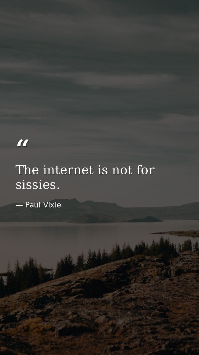 The internet is not for sissies. — Paul Vixie