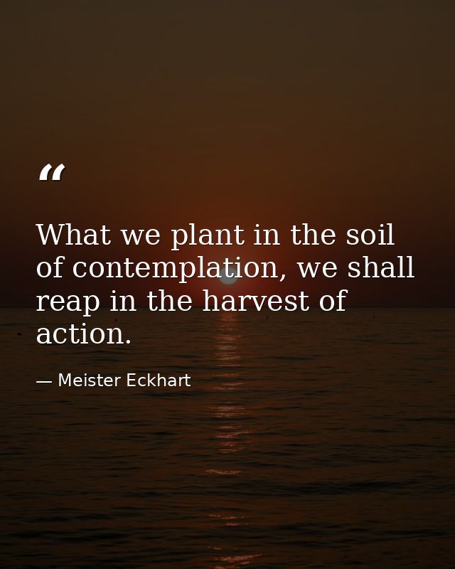 What we plant in the soil of contemplation, we shall reap in the harvest of action. — Meister Eckhart