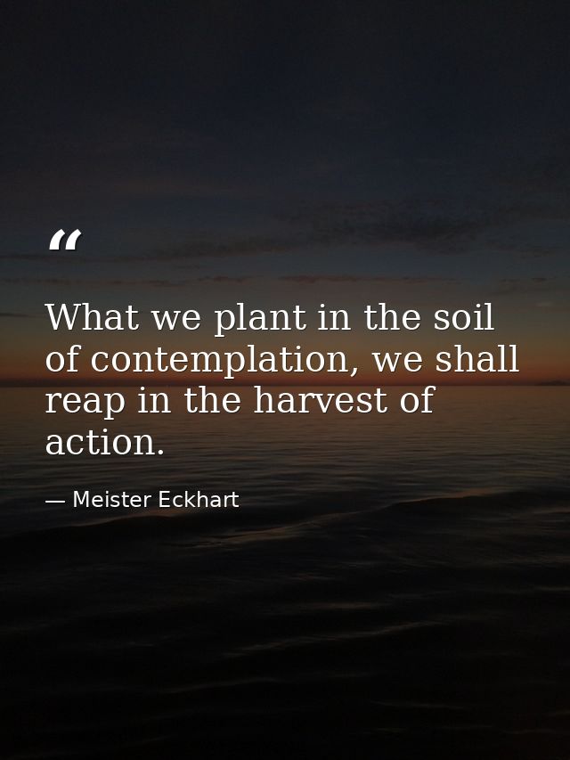What we plant in the soil of contemplation, we shall reap in the harvest of action. — Meister Eckhart