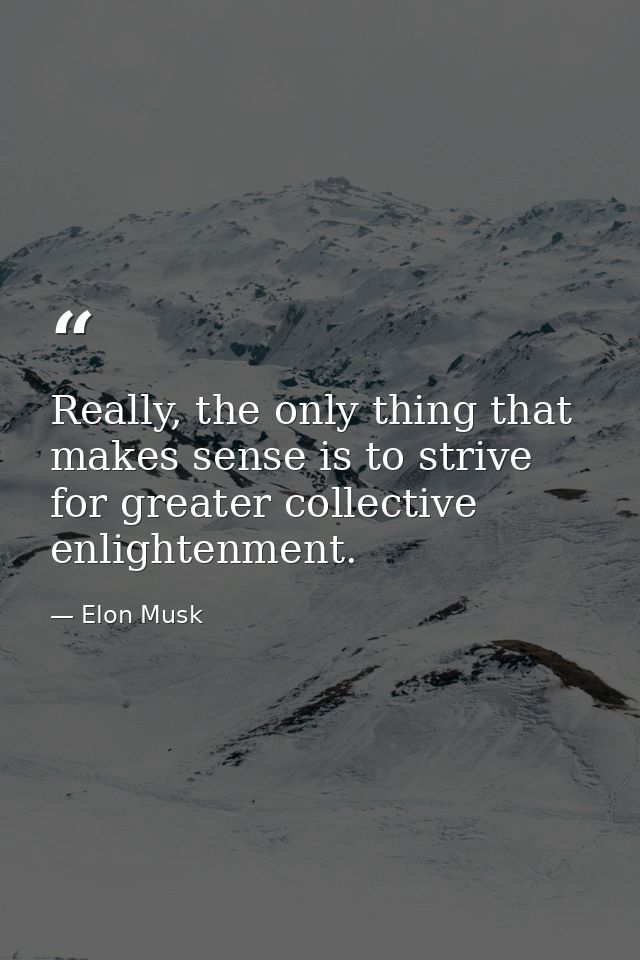 Really, the only thing that makes sense is to strive for greater collective enlightenment. — Elon Musk
