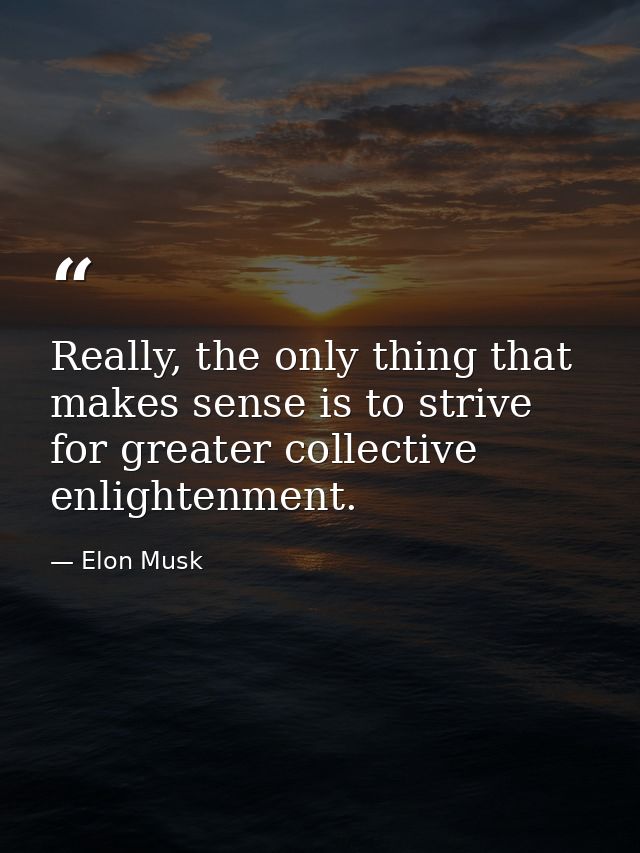 Really, the only thing that makes sense is to strive for greater collective enlightenment. — Elon Musk