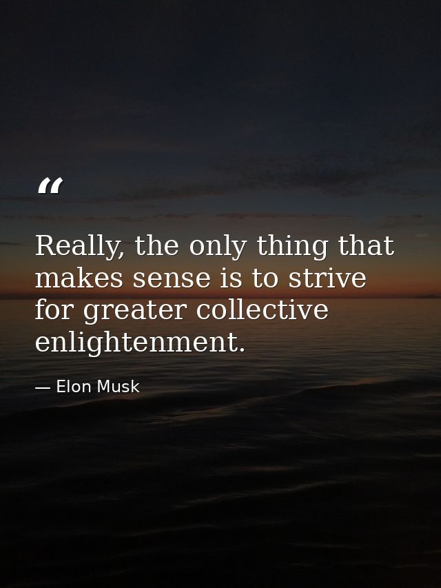 Really, the only thing that makes sense is to strive for greater collective enlightenment. — Elon Musk