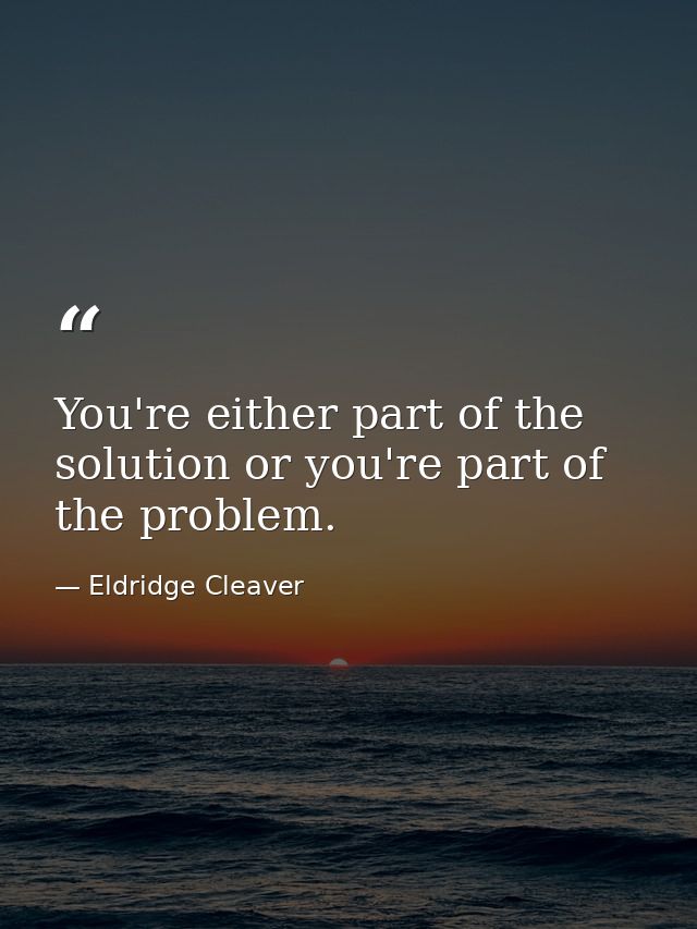 You're either part of the solution or you're part of the problem. — Eldridge Cleaver