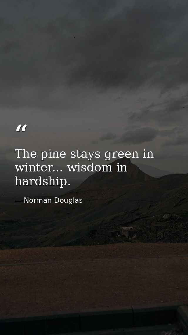 The pine stays green in winter... wisdom in hardship. — Norman Douglas
