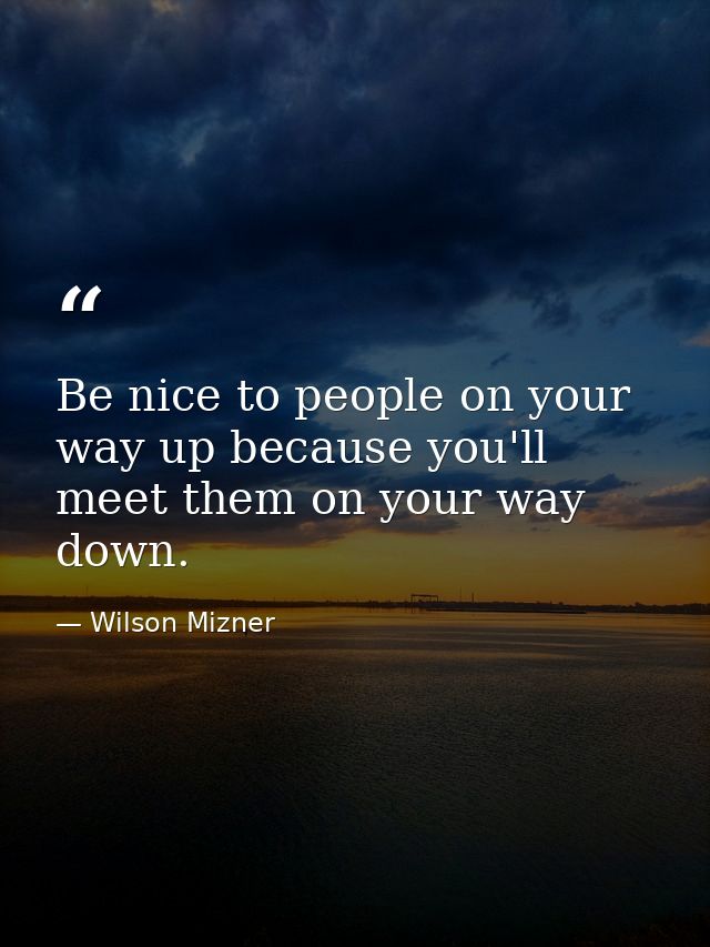 Be nice to people on your way up because you'll meet them on your way down. — Wilson Mizner