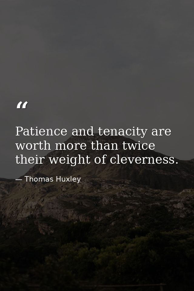 Patience and tenacity are worth more than twice their weight of cleverness. — Thomas Huxley