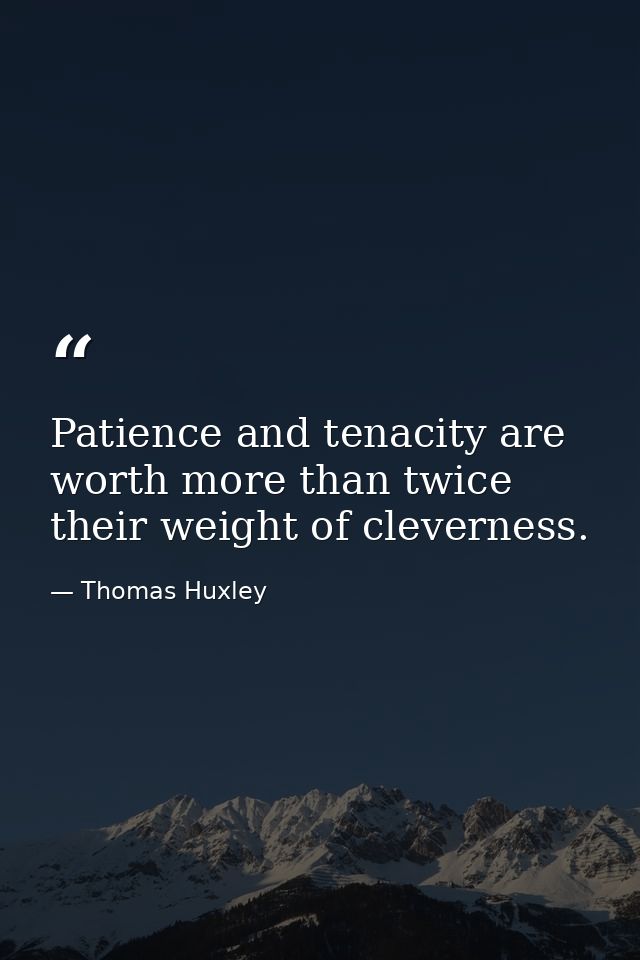 Patience and tenacity are worth more than twice their weight of cleverness. — Thomas Huxley