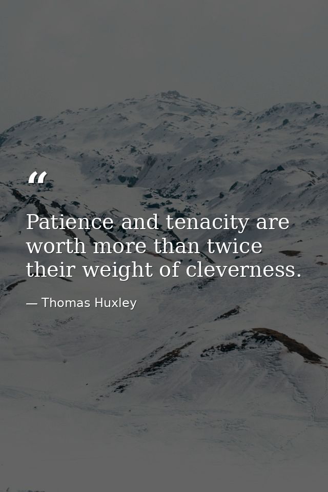 Patience and tenacity are worth more than twice their weight of cleverness. — Thomas Huxley