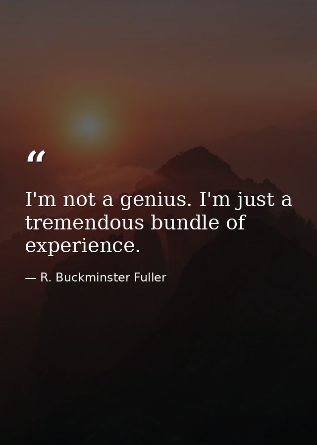 I'm not a genius. I'm just a tremendous bundle of experience. — R. Buckminster Fuller