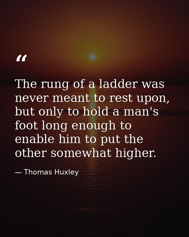 The rung of a ladder was never meant to rest upon, but only to hold a man's foot long enough to enable him to put the ot — Thomas Huxley
