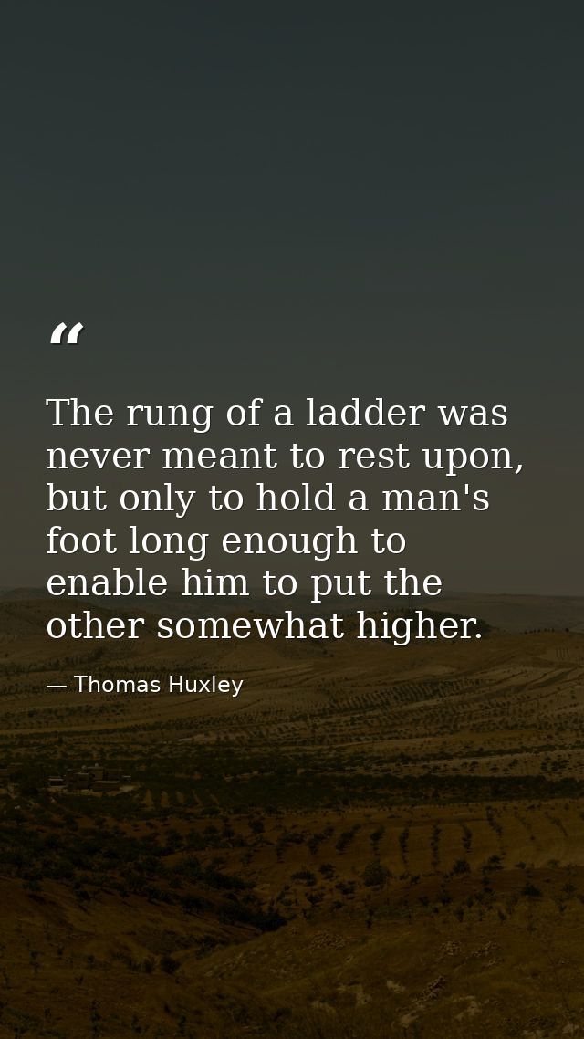 The rung of a ladder was never meant to rest upon, but only to hold a man's foot long enough to enable him to put the ot — Thomas Huxley
