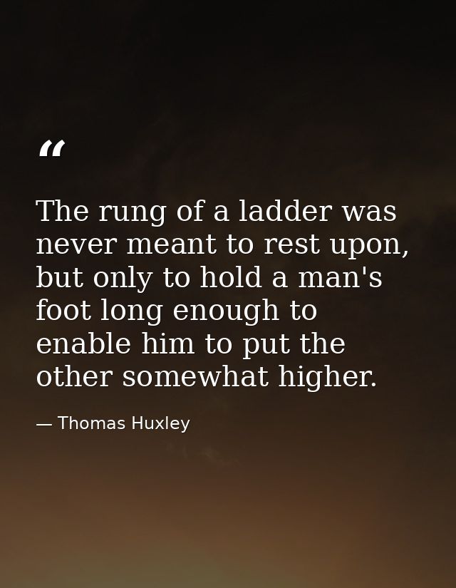 The rung of a ladder was never meant to rest upon, but only to hold a man's foot long enough to enable him to put the ot — Thomas Huxley