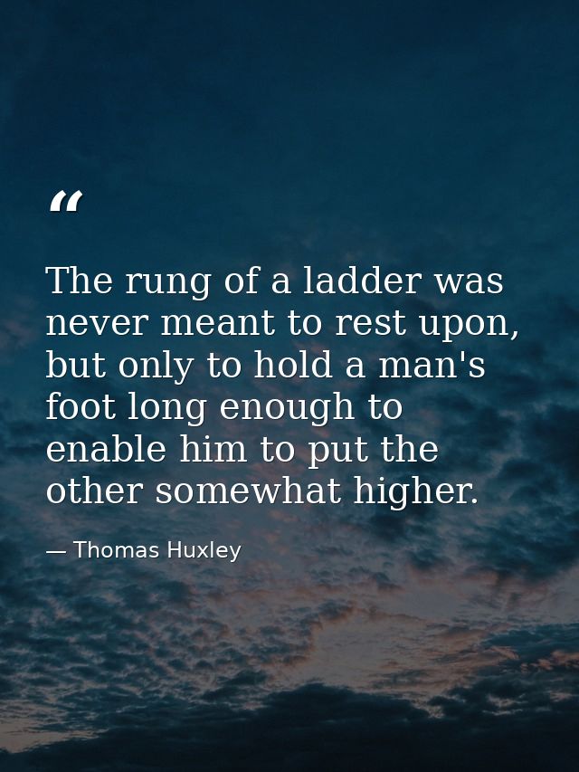 The rung of a ladder was never meant to rest upon, but only to hold a man's foot long enough to enable him to put the ot — Thomas Huxley