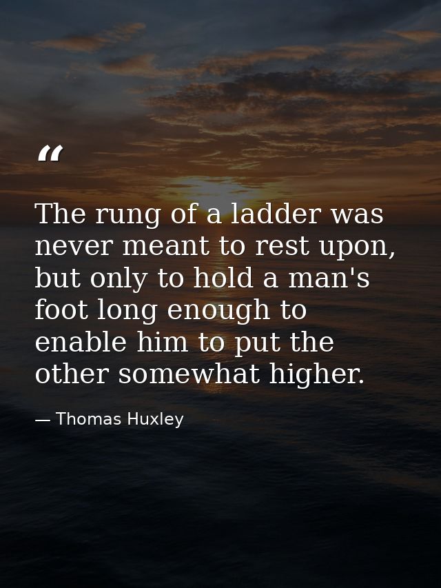 The rung of a ladder was never meant to rest upon, but only to hold a man's foot long enough to enable him to put the ot — Thomas Huxley