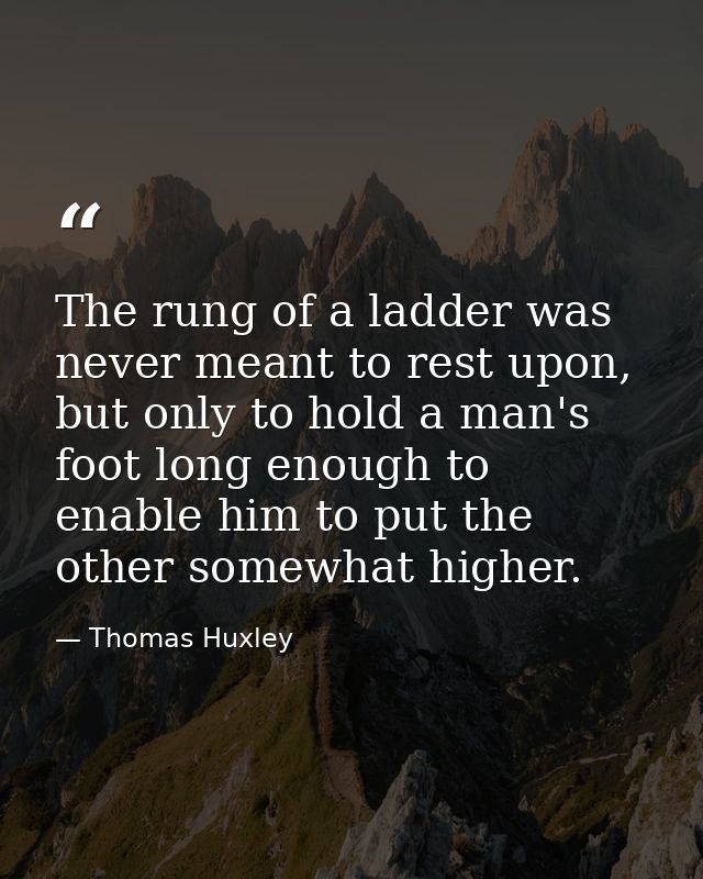 The rung of a ladder was never meant to rest upon, but only to hold a man's foot long enough to enable him to put the ot — Thomas Huxley
