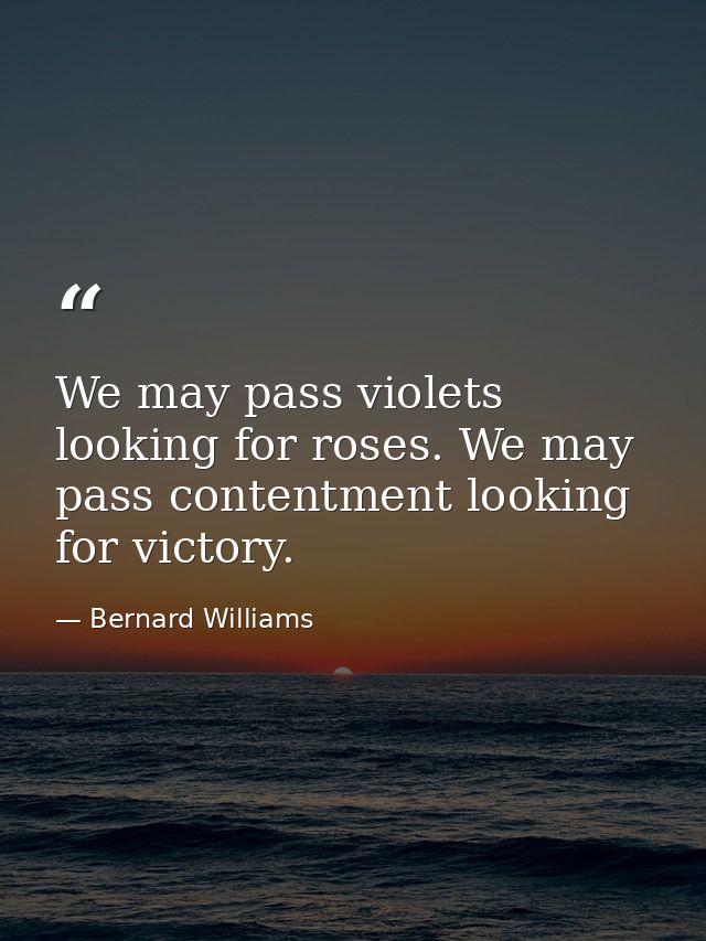 We may pass violets looking for roses. We may pass contentment looking for victory. — Bernard Williams