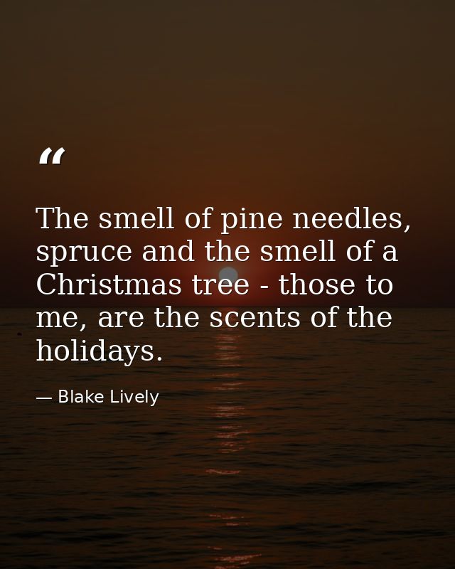 The smell of pine needles, spruce and the smell of a Christmas tree - those to me, are the scents of the holidays. — Blake Lively