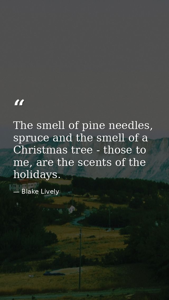 The smell of pine needles, spruce and the smell of a Christmas tree - those to me, are the scents of the holidays. — Blake Lively