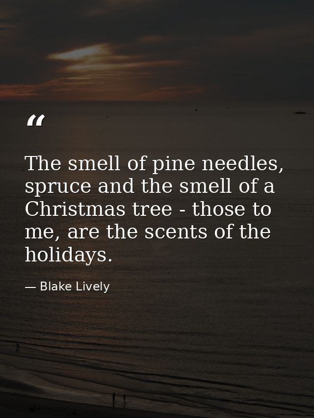 The smell of pine needles, spruce and the smell of a Christmas tree - those to me, are the scents of the holidays. — Blake Lively