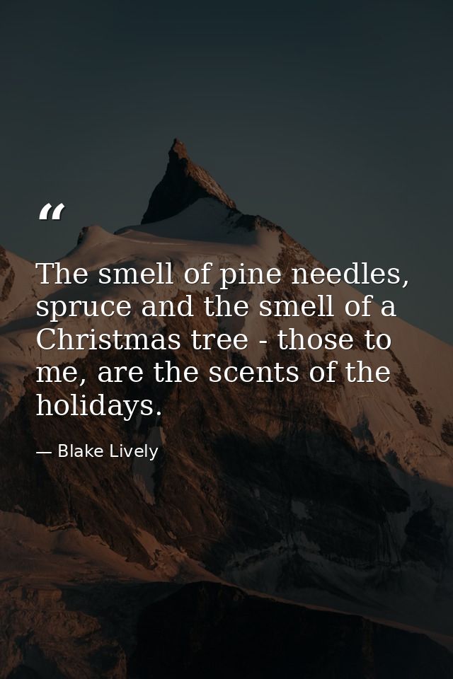 The smell of pine needles, spruce and the smell of a Christmas tree - those to me, are the scents of the holidays. — Blake Lively