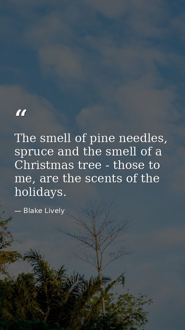 The smell of pine needles, spruce and the smell of a Christmas tree - those to me, are the scents of the holidays. — Blake Lively