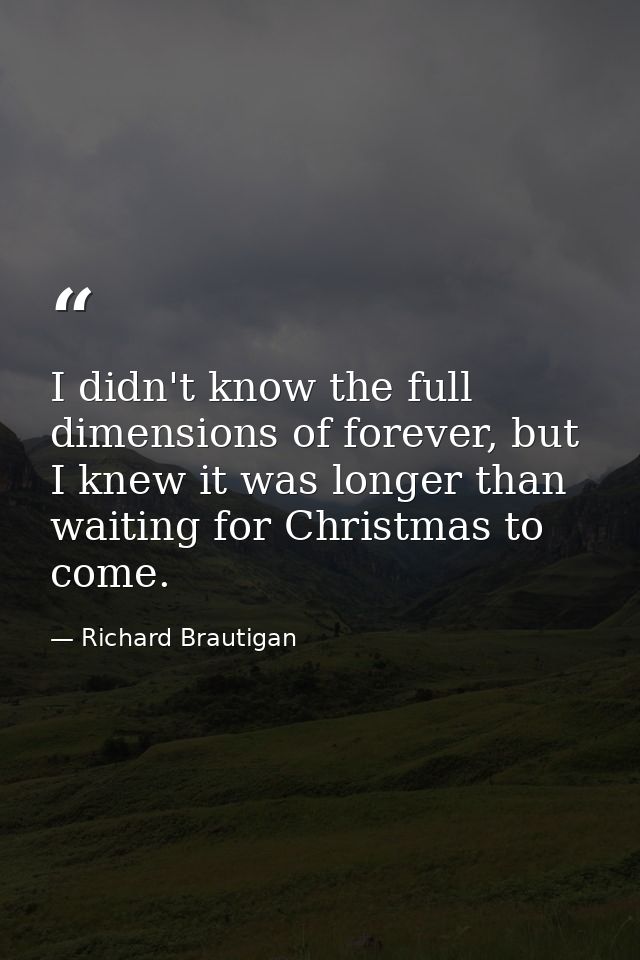I didn't know the full dimensions of forever, but I knew it was longer than waiting for Christmas to come. — Richard Brautigan