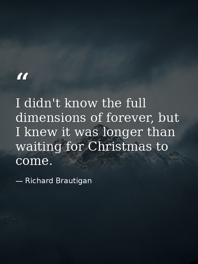 I didn't know the full dimensions of forever, but I knew it was longer than waiting for Christmas to come. — Richard Brautigan