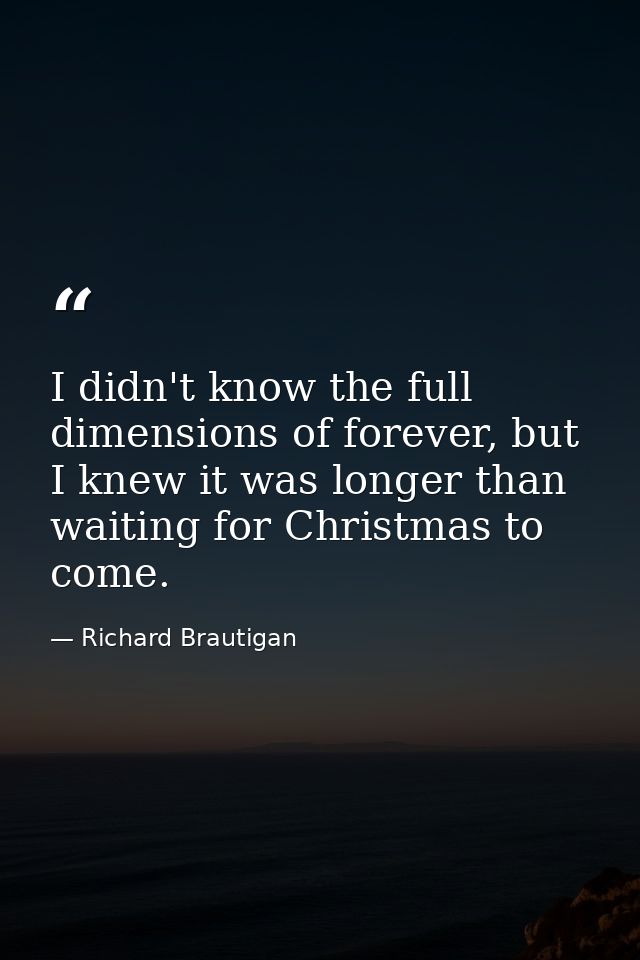 I didn't know the full dimensions of forever, but I knew it was longer than waiting for Christmas to come. — Richard Brautigan
