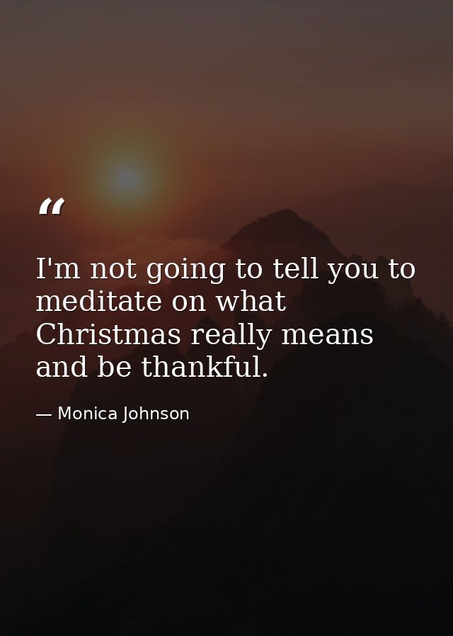 I'm not going to tell you to meditate on what Christmas really means and be thankful. — Monica Johnson