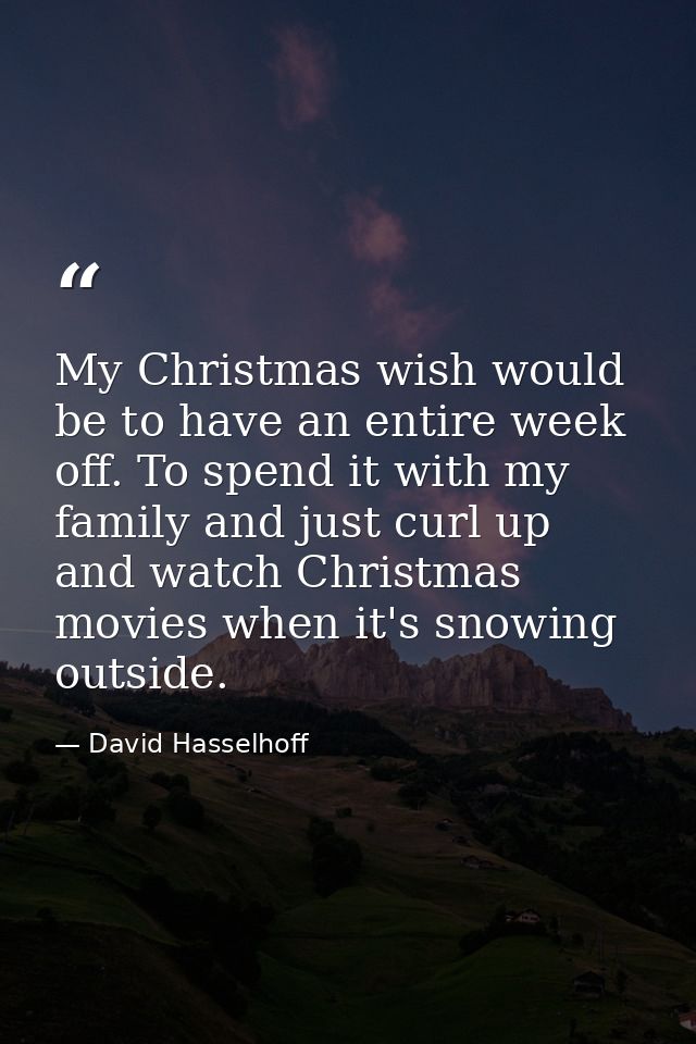 My Christmas wish would be to have an entire week off. To spend it with my family and just curl up and watch Christmas m — David Hasselhoff